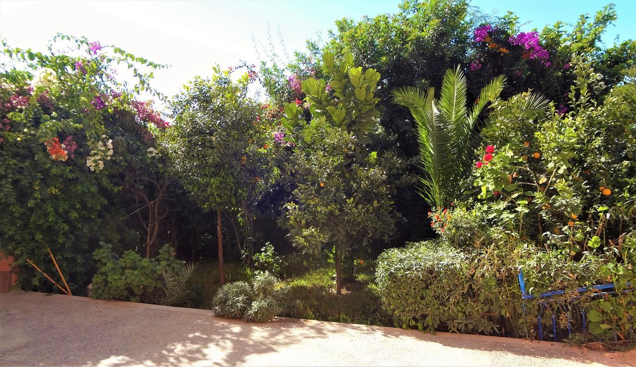 Tamraght Ou Fella Surf & Yoga Paradise Moroccoホステル エクステリア 写真