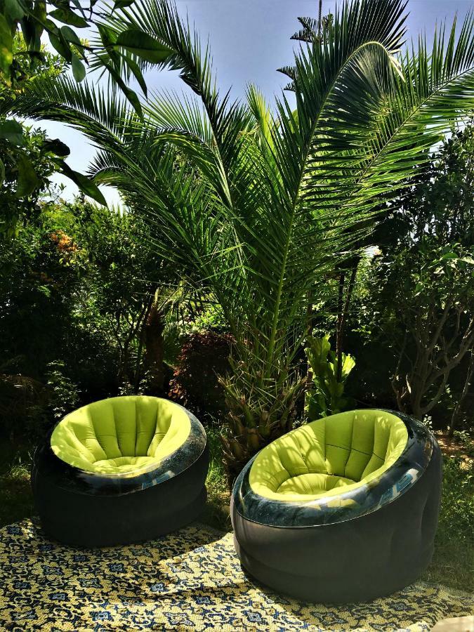 Tamraght Ou Fella Surf & Yoga Paradise Moroccoホステル エクステリア 写真