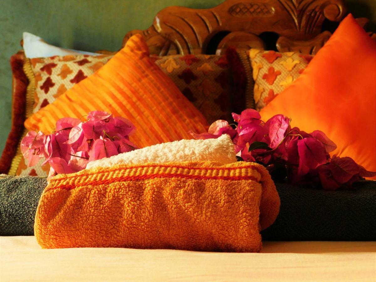 Tamraght Ou Fella Surf & Yoga Paradise Moroccoホステル エクステリア 写真